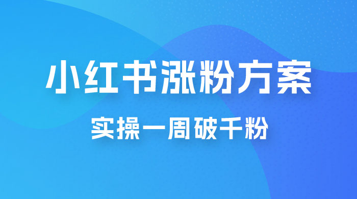 小红书爆款涨粉方案，实操一周破千粉，利用商单轻松变现，在家就能月入过万 - 情久项目资源网