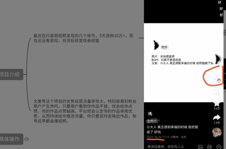 图片[2] - 最新抖音暴力文案号，五天涨粉 10w+，喂饭级拆解教学 - 情久项目资源网