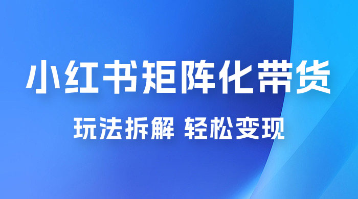 小红书矩阵化带货玩法拆解，保姆级教程，详细拆解这套玩法 - 情久项目资源网