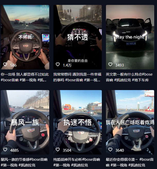 图片[2] - 抖音开车视频项目：0基础操作，每天五分钟，月入过万 - 情久项目资源网
